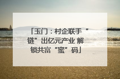 玉门：村企联手“链”出亿元产业 解锁共富“蜜”码