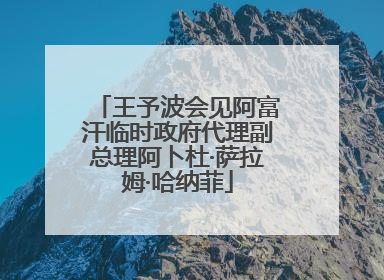 王予波会见阿富汗临时政府代理副总理阿卜杜·萨拉姆·哈纳菲