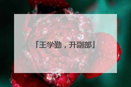 王学勤，升副部