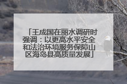 王成国在丽水调研时强调：以更高水平安全和法治环境服务保障山区海岛县高质量发展