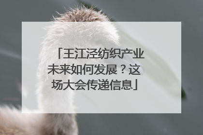 王江泾纺织产业未来如何发展？这场大会传递信息