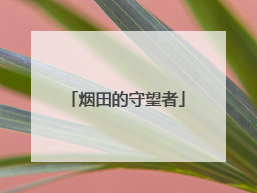 烟田的守望者