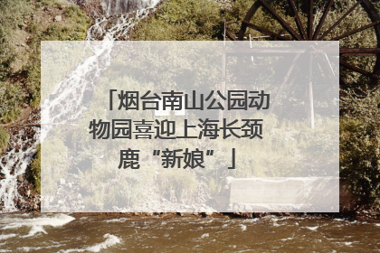 烟台南山公园动物园喜迎上海长颈鹿“新娘”