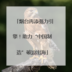 烟台再添强力引擎！助力“中国制造”破浪出海