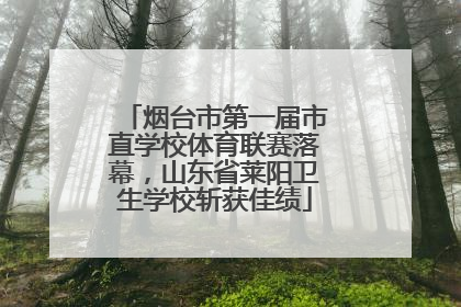 烟台市第一届市直学校体育联赛落幕，山东省莱阳卫生学校斩获佳绩