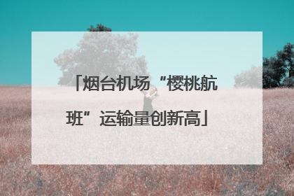 烟台机场“樱桃航班”运输量创新高