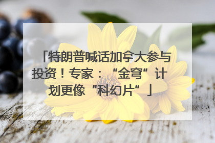 特朗普喊话加拿大参与投资！专家：“金穹”计划更像“科幻片”