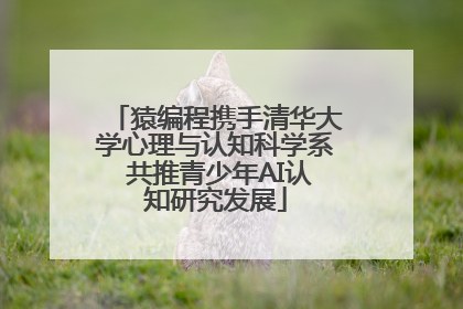 猿编程携手清华大学心理与认知科学系 共推青少年AI认知研究发展