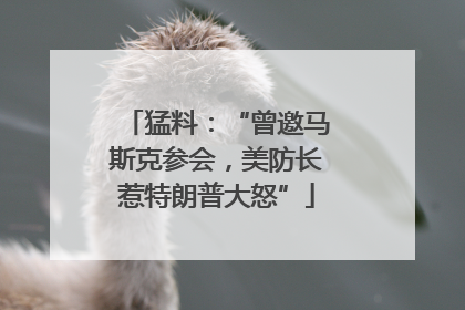 猛料：“曾邀马斯克参会，美防长惹特朗普大怒”