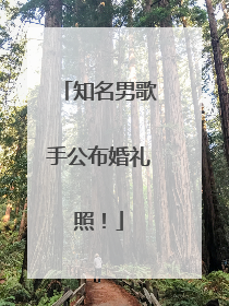 知名男歌手公布婚礼照！