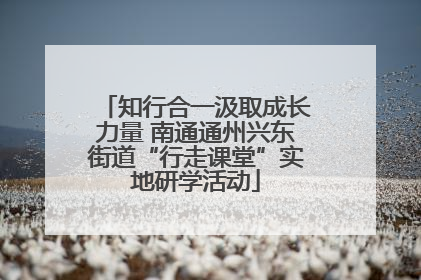 知行合一汲取成长力量 南通通州兴东街道“行走课堂”实地研学活动