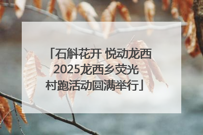 石斛花开 悦动龙西 2025龙西乡荧光村跑活动圆满举行