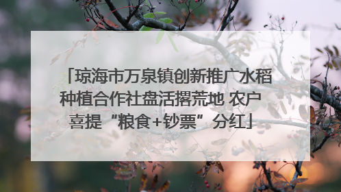 琼海市万泉镇创新推广水稻种植合作社盘活撂荒地 农户喜提“粮食+钞票”分红