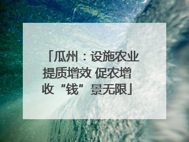 瓜州：设施农业提质增效 促农增收“钱”景无限