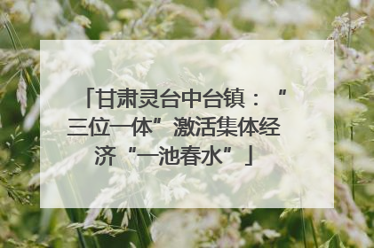 甘肃灵台中台镇：“三位一体”激活集体经济“一池春水”