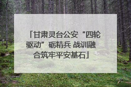 甘肃灵台公安“四轮驱动”砺精兵 战训融合筑牢平安基石