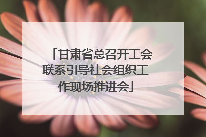 甘肃省总召开工会联系引导社会组织工作现场推进会