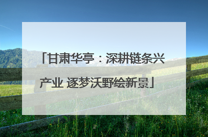 甘肃华亭：深耕链条兴产业 逐梦沃野绘新景