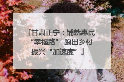 甘肃正宁：铺就惠民“幸福路” 跑出乡村振兴“加速度”