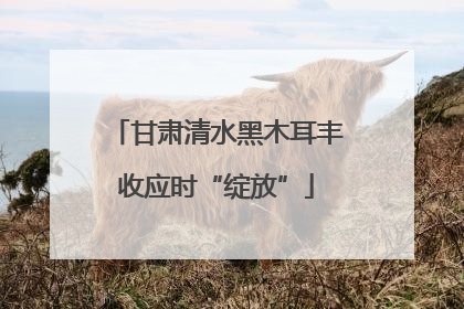 甘肃清水黑木耳丰收应时“绽放”