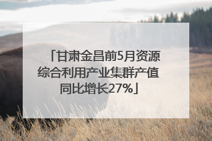 甘肃金昌前5月资源综合利用产业集群产值同比增长27%