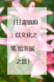甘肃镇原：以文化之笔 绘发展之景