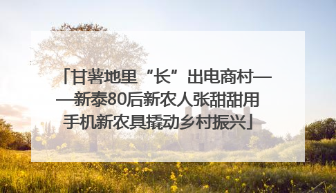 甘薯地里“长”出电商村——新泰80后新农人张甜甜用手机新农具撬动乡村振兴