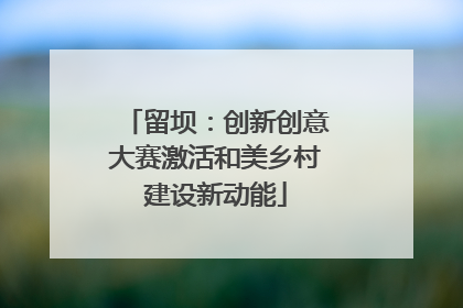 留坝：创新创意大赛激活和美乡村建设新动能