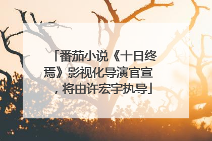 番茄小说《十日终焉》影视化导演官宣，将由许宏宇执导