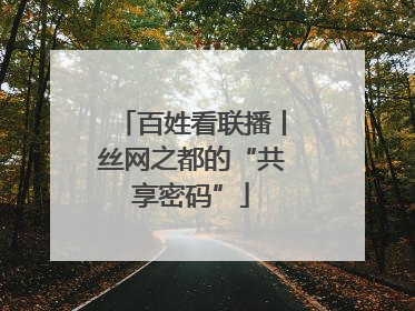 百姓看联播丨丝网之都的“共享密码”