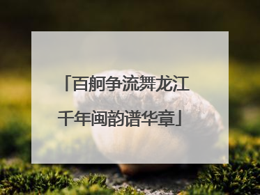 百舸争流舞龙江 千年闽韵谱华章