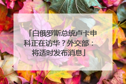 白俄罗斯总统卢卡申科正在访华？外交部：将适时发布消息