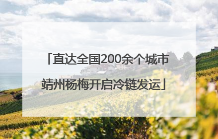 直达全国200余个城市 靖州杨梅开启冷链发运