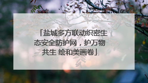 盐城多方联动织密生态安全防护网，护万物共生 绘和美画卷