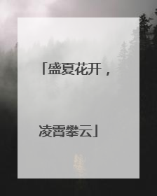 盛夏花开，凌霄攀云