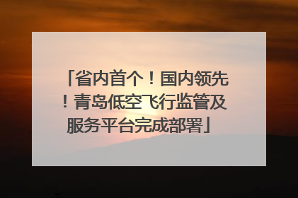 省内首个！国内领先！青岛低空飞行监管及服务平台完成部署
