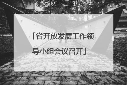省开放发展工作领导小组会议召开