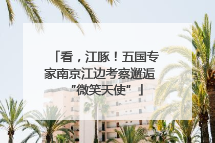 看，江豚！五国专家南京江边考察邂逅“微笑天使”