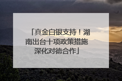 真金白银支持！湖南出台十项政策措施深化对德合作