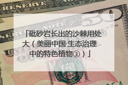 砒砂岩长出的沙棘用处大（美丽中国·生态治理中的特色植物③）