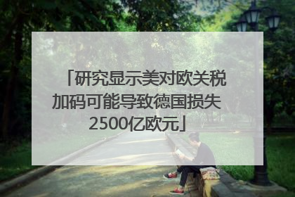 研究显示美对欧关税加码可能导致德国损失2500亿欧元