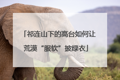 祁连山下的高台如何让荒漠“服软”披绿衣