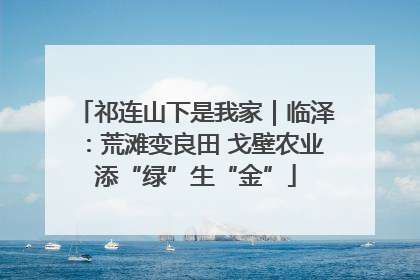 祁连山下是我家｜临泽：荒滩变良田 戈壁农业添“绿”生“金”