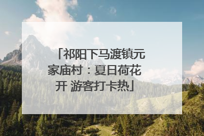 祁阳下马渡镇元家庙村：夏日荷花开 游客打卡热