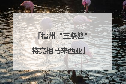 福州“三条簪”将亮相马来西亚
