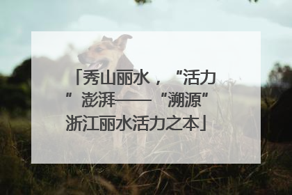 秀山丽水，“活力”澎湃——“溯源”浙江丽水活力之本