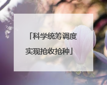 科学统筹调度实现抢收抢种