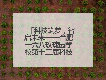 科技筑梦，智启未来——合肥一六八玫瑰园学校第十三届科技节机器人系列体验赛燃动校园