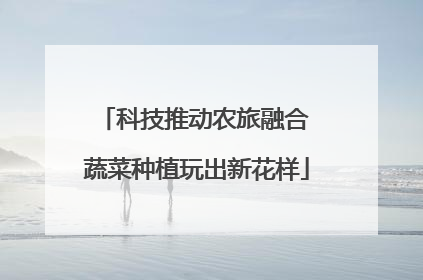 科技推动农旅融合 蔬菜种植玩出新花样