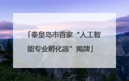 秦皇岛市首家“人工智能专业孵化器”揭牌